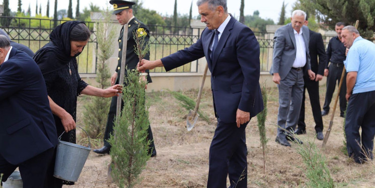 Şəhidlərin xatirəsinə həsr olunmuş ağacəkmə aksiyası təşkil edilib